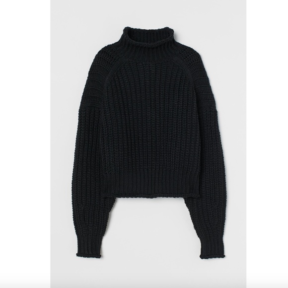 Chunky Ribbed Knit Turtleneck Sweater - Picture 1 of 6
